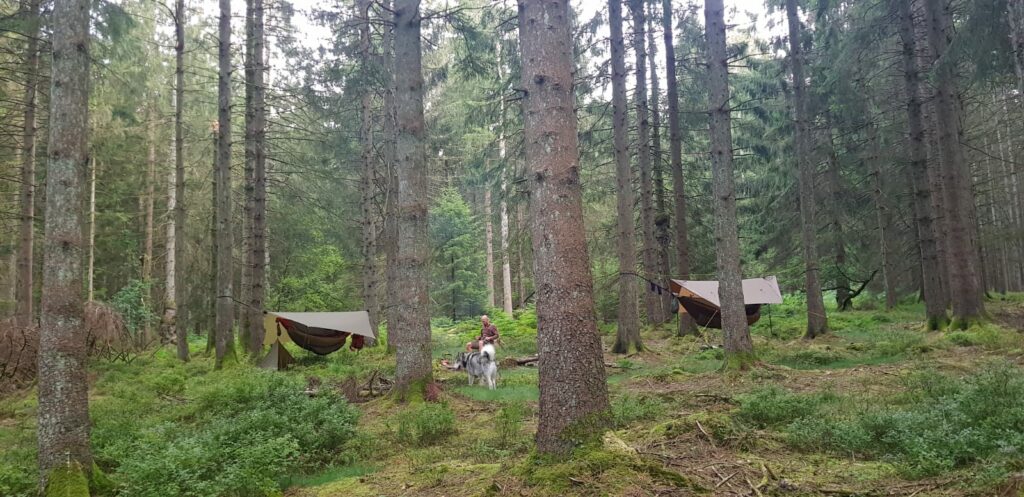 Umaik coaching bushcraft kano